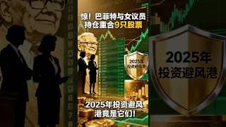 惊！巴菲特与女议员持仓重合9只股票，2025年投资避风港竟是它们！