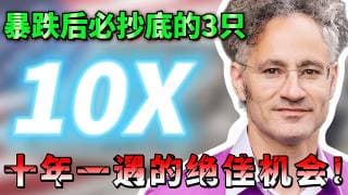 暴跌后必抄底的3家公司，被严重低估，即将爆发，买入躺赢一整年！下一轮翻倍从这里开始？AVGO  ， PLTR ，ASML  #美股 #抄底 #领涨 #trading