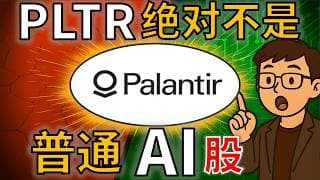 Palantir：它是改变世界的公司，还是危险的泡沫？