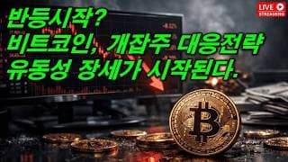 비트코인, 개잡주 매매 대응전략, 유동성 장세를 준비하는 자세..