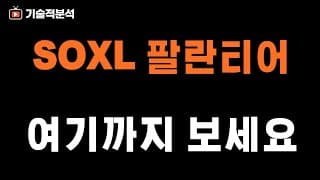테슬라 SOXL 팔란티어 뭐가 더 오를까? ｜시장 흐름 확인하세요