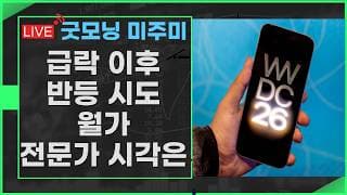 [굿모닝 미주미]  급락장 이후의 반등시도, 과연 이어질 수 있을까? 월가 전략가들의 생각은?   #미주미 #이항영