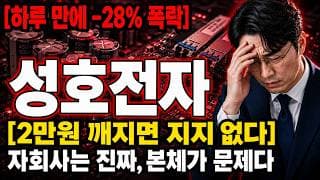 [성호전자 주가 전망] CPO 자회사는 진짜인데 본체가 문제? 성호전자 금요일 대응법 #성호전자