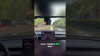Tesla's Vision-Only FSD: Outsmarting the Experts? #shorts