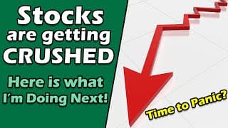 Stocks in a Free Fall: What’s Your Next Move?