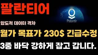 [팔란티어 주가전망] 월가 목표가 230$ 긴급수정 3중 바닥 강하게 잡고 갑니다.