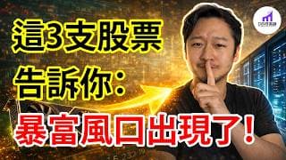 3支股票，告訴你：美股的下個暴富風口，已經出現！ 【D的財富鏈/AI投資/股票MRVL VRT AVGO】