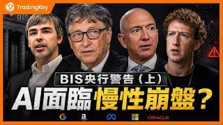 AI萬億投資是產業升級還是金融泡沫？四大維度拆解BIS央行AI泡沫預警 ：未來AI科技股行情徹底兩極分化？#谷歌 #Meta