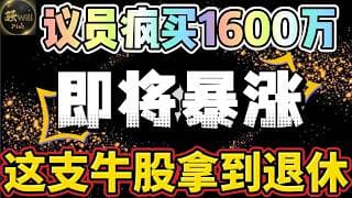 美股投资｜20年罕见机会!内部疯狂买入即将暴涨?牛股拿到退休.准备买入潜力公司.微软#MSFT深度分析谷歌Goog｜美股趋势分析｜美股期权交易｜美股赚钱｜美股2026