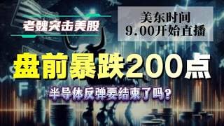 美股解析｜盘前暴跌200点！半导体反弹要结束了吗？#美股 #英伟达 #甲骨文 #英特尔 #特斯拉 #soun #苹果 #投資  #crcl  #amd