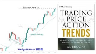 【价格行为学】Al Brooks视频课精讲：背景和信号；回调和数K线
