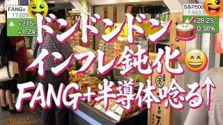 インフレ鈍化利下げ後退！FANG＋半導体上昇！マイクロン、エヌビディア輝く でもまだまだ！TACO祭りも同時開催、夏祭りはじまるよ！【米国株ニュース 新NISA攻略】