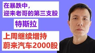 在暴跌中，迎来老哥的第三支股，特斯拉TSLA；上周继续增持蔚来汽车NIO2000股