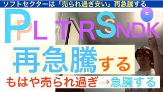 PLTRパランティアSNDK「再急騰するぞ」会計評価が良く売られ過ぎた株は復活する運命だ。この原油ショックは大チャンス！株価は長期で保有しろ【全力次のテスラ】株価テンバガー１００倍狙え
