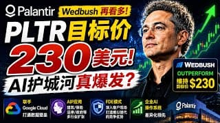 Wedbush再喊230美元！Palantir的AI护城河真的越来越强？