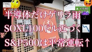 【半導体集中砲火】SOXLが激しく下落、それでもS&P500は上昇。逃げ場はある FANG+びびるもややマイルド 生きるぞ！【米国株ニュース 新NISA応援】