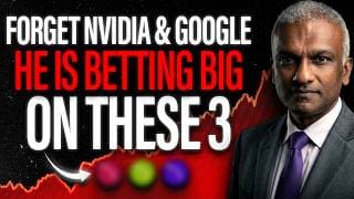 Dan Niles Warns September AI Speed Bump - But These 3 Stocks Are Positioned To Explode - Do You Own?