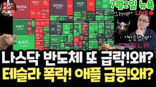 미국주식시황/나스닥 반도체 테슬라 급락!왜? 스페이스X 엔비디아 구글 애플 아마존 메타 아이온큐 삼성전자 하이닉스 마이크론 테크놀로지 인텔AMD 코어위브 샌디스크 델 루멘텀 모더나