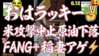 ハイテク急上昇FANG+SOXLイナヅマ上げ！アメリカ報復攻撃取りやめTACO踊りだ！SpaceX抽選結果判明、外れた人何買った？今日はゴールドもイイ！【米国株速報 新NISA攻略】