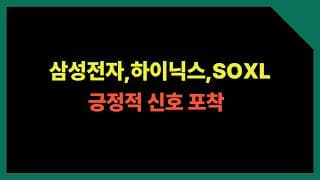 폭락장 대응방법, 큰 추세는 이것입니다. (테슬라,메타,알파벳,아마존,애플,엔비디아,비트코인,이더리움)