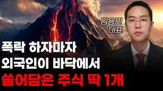 [주식] 폭락 하자마자 외국인이 바닥에서 쓸어담은 주식 딱 1개! [미국주식, 트럼프 주식, 머스크 관련주, AI주식]