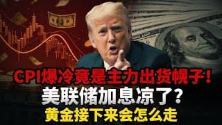 CPI史诗级爆冷转向！黄金4000美元关口上演精准触底反弹一分不差？最低点刺破整数关仅停留20分钟，拆解机构另类数据预判套路；解析信息差定向收割逻辑!#黄金#白银 