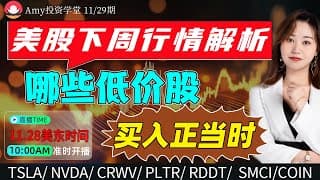 「Amy 11/29日美股直播」美股下周行情展望，这些个股低吸正当时！#tsla #aapl #amd #nvda#pltr #meta #股票 #美股投资 #美股分析 #道指 #k线#投资 #美股