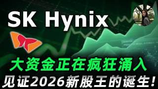 年涨800%居然还被严重低估？融资290亿是英伟达最大对手Cerebras的5倍，我们正在见证新股王的诞生！SK海力士深度拆解: 赴美现状，估值，行动指南!SKHY#trading #投資 #美股
