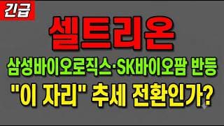 [셀트리온 주가 전망] (긴급) 삼성바이오로직스·SK바이오팜 바이오주 외국인 폭매수 반등! "이 자리" 지금 담아야 하나?
