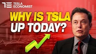 Is the Market Understanding Tesla Better?