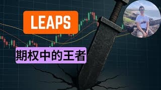LEAPS期权全解析：最大化你的投资组合潜力 | 最简单、最赚钱的长期期权策略 | 唯一必学期权策略
