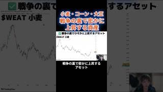 イラン戦争の裏で原油以外にも"アレ"が密かに上昇中！🚀次に来るトレンドとは？#米国株 #投資 #株式投資 #中東戦争 #shorts