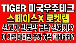[TIGER 미국우주테크 주가전망] 신고가 반토막 급락 신저가!? "이 가격 깨지면 추가 하락 대비하라"