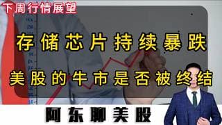 存储芯片集体暴跌！美股牛市是否被终结！META是吹哨人还是搅屎棍！#投資 #美股 #股票#存储芯片#美光#闪迪#META#MU#SNDK#美股操作策略#今日股票推荐#