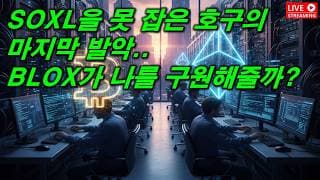 SOXL을 12달러에 매도한 호구의 마지막 발악..비트코인으로 인생역전 가능할까?