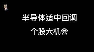 半导体需留意适中的回调力度，一些个股出现大的机会