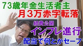 【生活費公開】７３歳年金生活者主、インフレに負けて赤字転落！