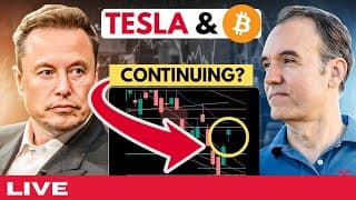 Is Tesla really bouncing?