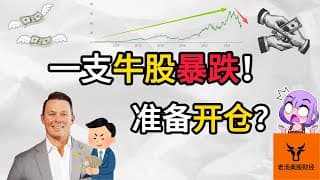 一支牛股暴跌! 准备开仓?【美股分析】