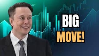 How Tesla Stock Retail Investors Outsmarted Wall St