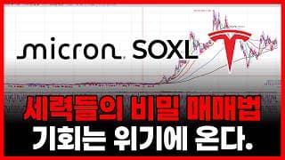 세력들의 비밀 매매법 (SOXL 테슬라 엔비디아 아이온큐 마이크론 주가, 샌디스크