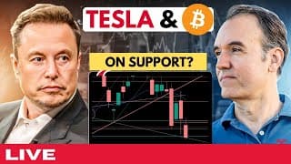 Has Tesla found a support?