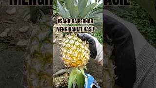 MOTIVASI HARI INI : JANGAN TAKUT