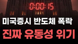 [미국주식] 미국증시 반도체 폭락 진짜 유동성 위기![엔비디아, 테슬라, 아이온큐, 브로드컴, 애플, 팔란티어]