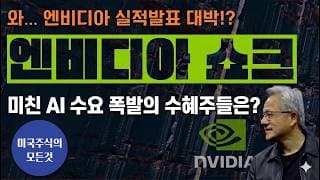 [엔비디아 어닝 딥다이브] 숫자 뒤에 숨겨진 진짜 힌트와 폭등할 AI 주식 (NVDA)