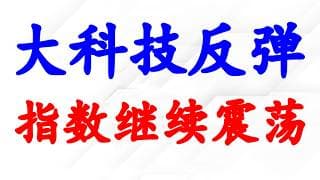 纳指反弹，仍然在震荡；7大分析, AAPL NVDA MSFT GOOGL AMZN TSLA META.