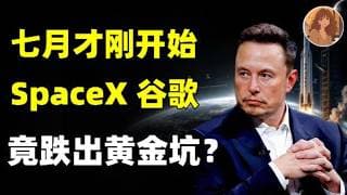 AI 主线彻底破裂了？回调是不是黄金坑？深度解读SpaceX / 谷歌下跌真相 + 支撑阻力位全拆解 GOOG..SpaceX,META,AMZN.NVDA.IBM.RKLB#ai #trading