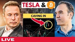 Tesla is caving in Part 2
