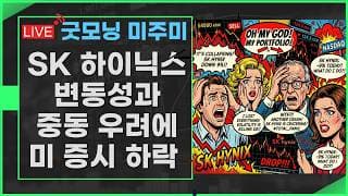 [굿모닝 미주미]  SK 하이닉스의 변동성에 깜놀한 미국주식 투자자    #미주미 #이항영