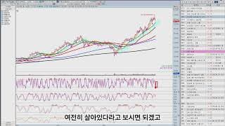 바닥종목, 지금이 찬스 크게 먹을 수 있습니다. (SOXL 테슬라 마이크로소프트 팔란티어